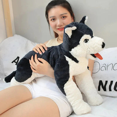Peluche Chien Husky
