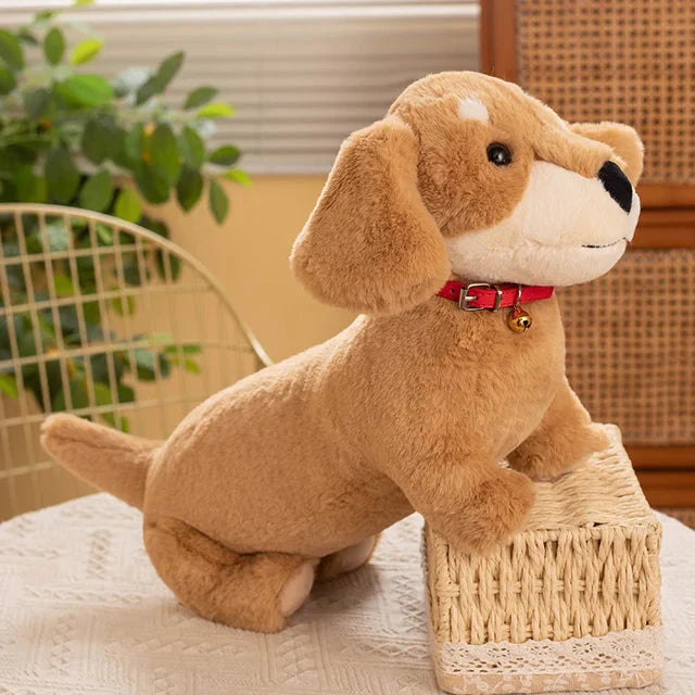 Peluche Chien Saucisse