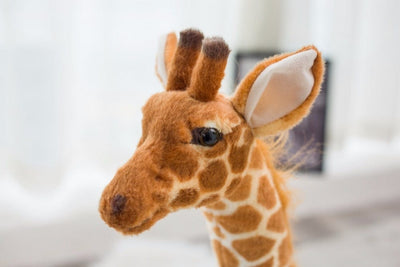 Peluche Girafe 100cm