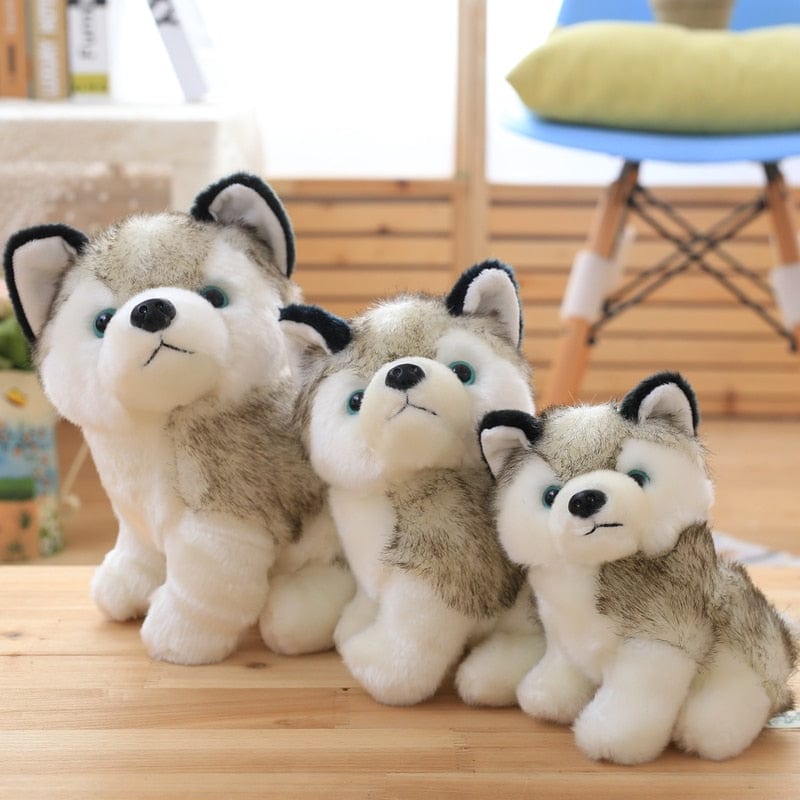 Peluche Petit Chien Husky