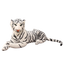 Géante Peluche Tigre