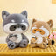 Grande Peluche Raton Laveur