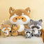 Grande Peluche Raton Laveur