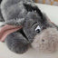 Grosse Peluche Bourriquet