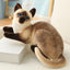 Peluche Chat Réaliste