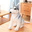 Peluche Chien Husky de Sibérie