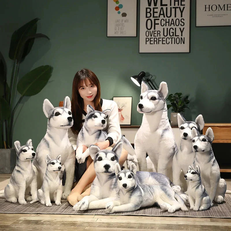 Peluche Chien Husky de Sibérie