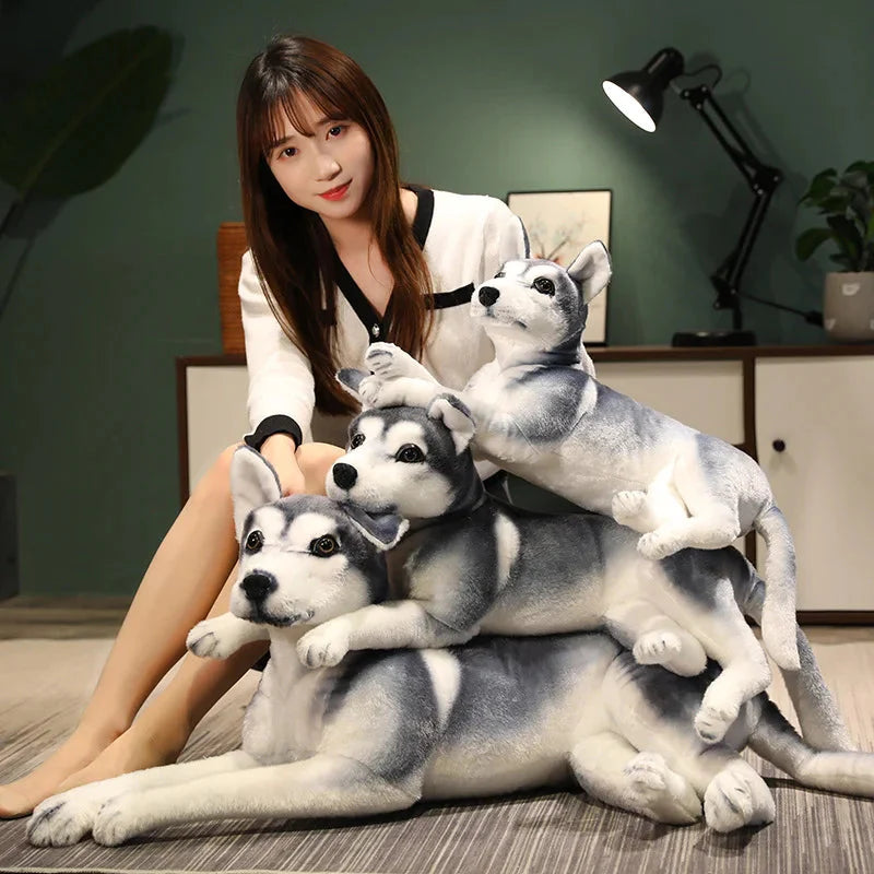 Peluche Chien Husky de Sibérie