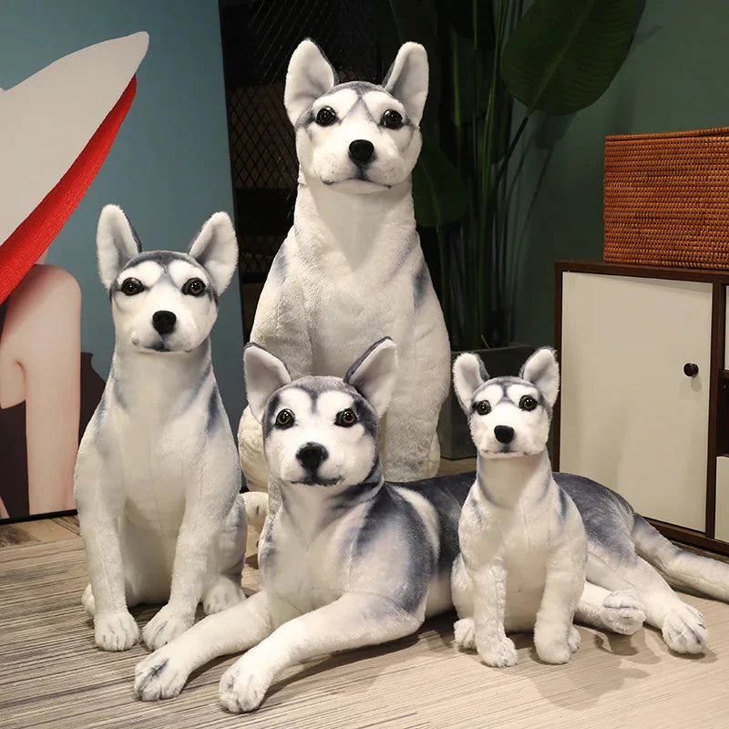 Peluche Chien Husky de Sibérie