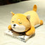 Peluche Chien Loup Gris