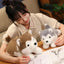 Peluche Chien Mignon