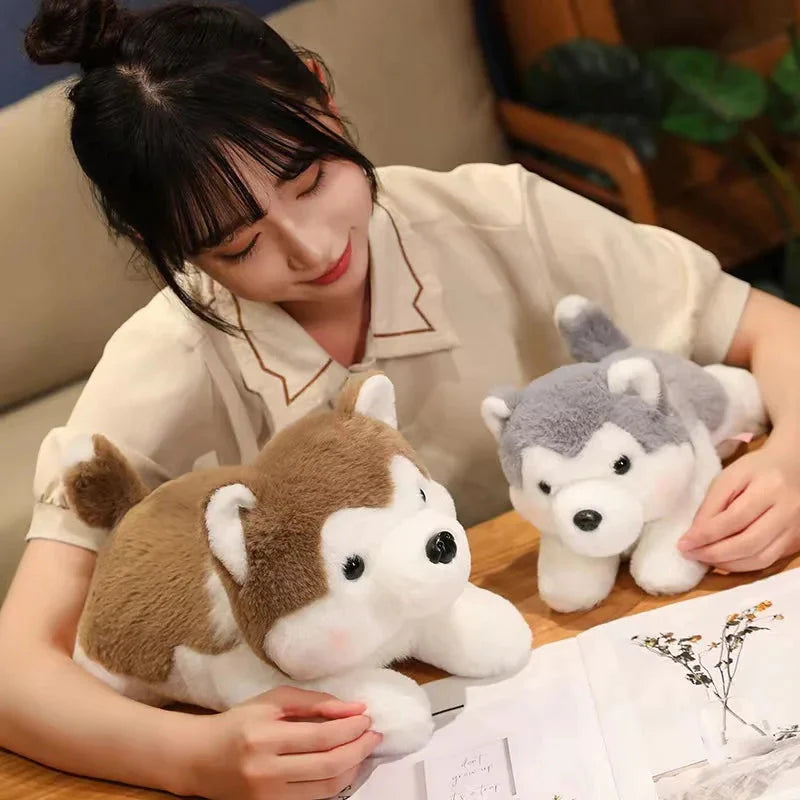 Peluche Chien Mignon