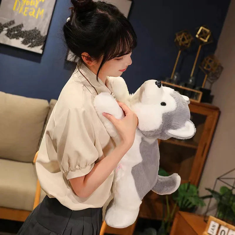 Peluche Chien Mignon
