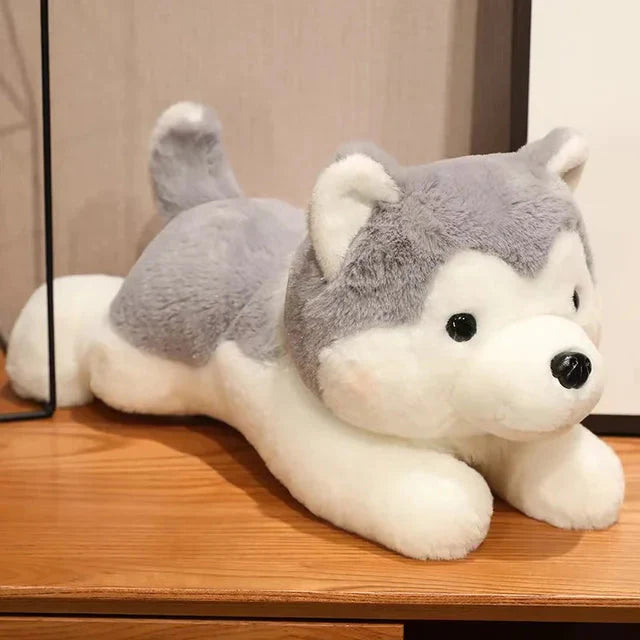 Peluche Chien Mignon