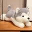 Peluche Chien Mignon