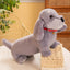 Peluche Chien Saucisse