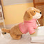 Peluche Chien Saucisse