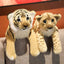 Peluche Lion et Tigre