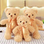 Peluche Ours Teddy