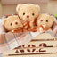 Peluche Ours Teddy