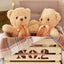 Peluche Ours Teddy