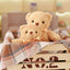 Peluche Ours Teddy