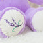 Peluche Ours Violet
