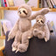 Peluche Paresseux Gris