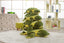 Peluche Tortue de Mer