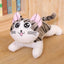 Peluche de Chat Tigré