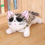 Peluche de Chat Tigré
