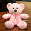 Petit Ours en Peluche