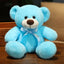 Petit Ours en Peluche