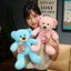 Petit Ours en Peluche