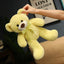Petit Ours en Peluche
