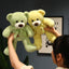 Petit Ours en Peluche