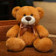 Petit Ours en Peluche