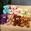Petit Ours en Peluche